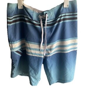 Ezekiel‎ Mens Blue Striped Board Shorts Sz 36 Style ER171124T